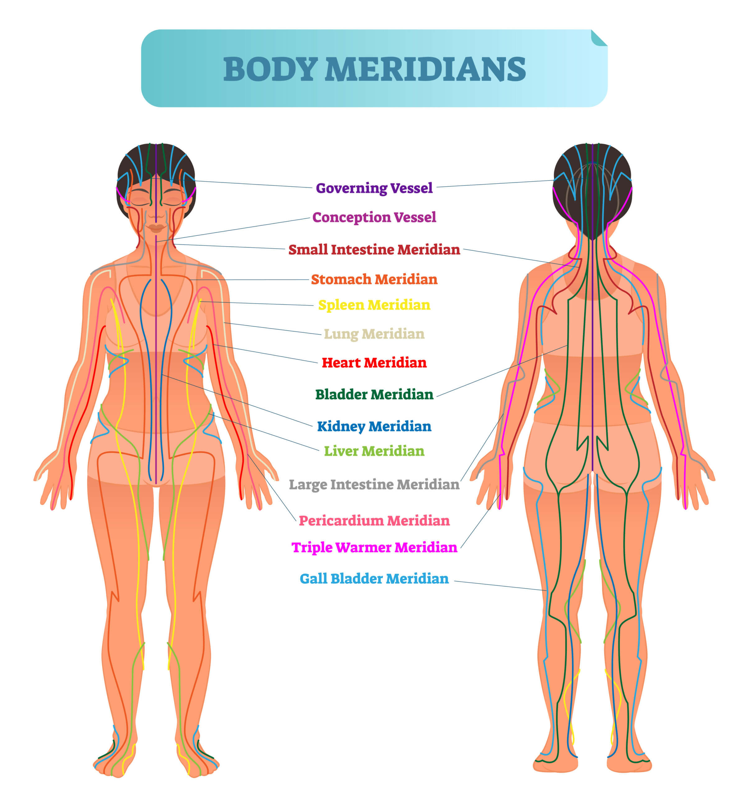 Meridians